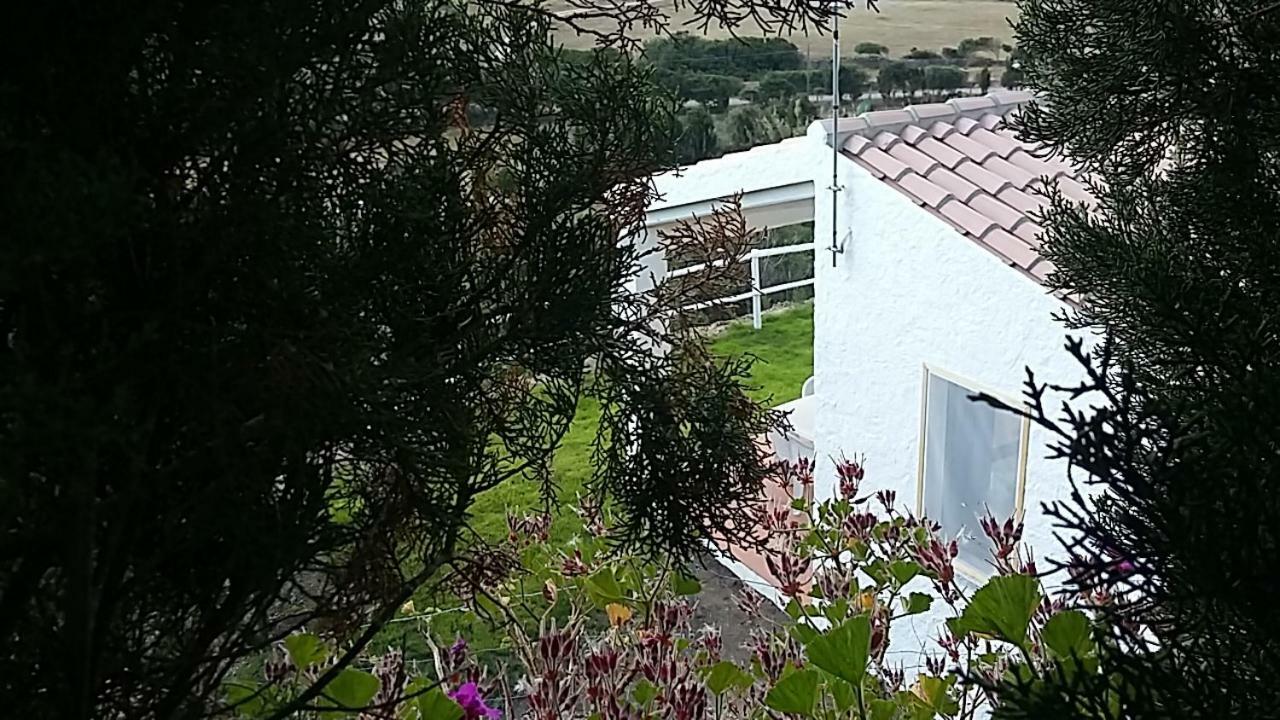 Agriturismo La Valletta Hotell Santa Teresa Gallura Exteriör bild