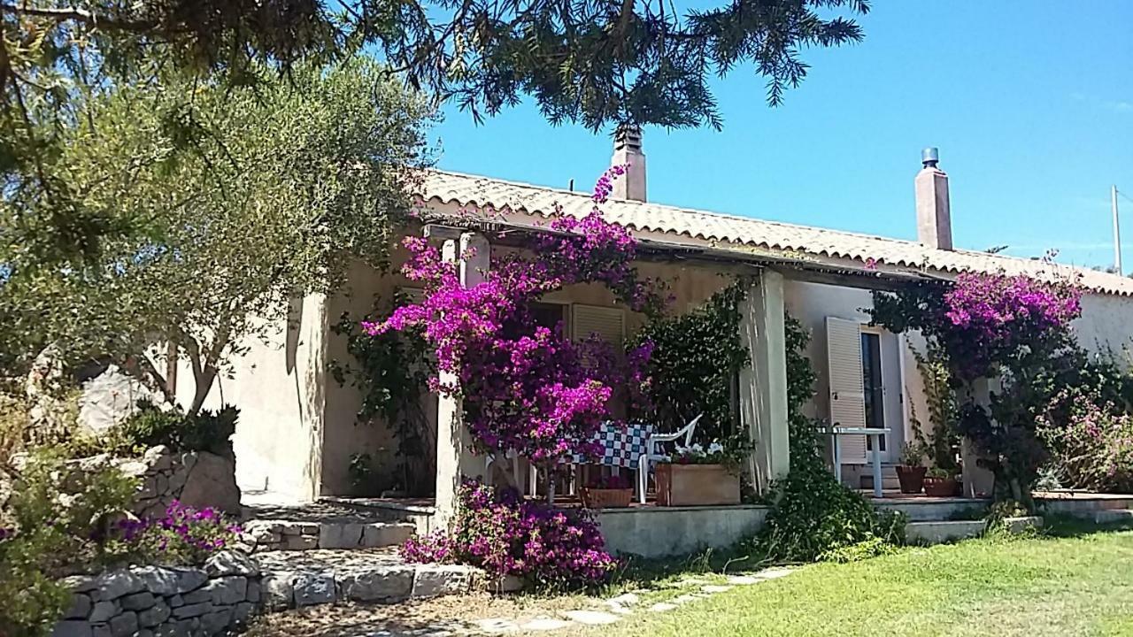 Agriturismo La Valletta Hotell Santa Teresa Gallura Exteriör bild