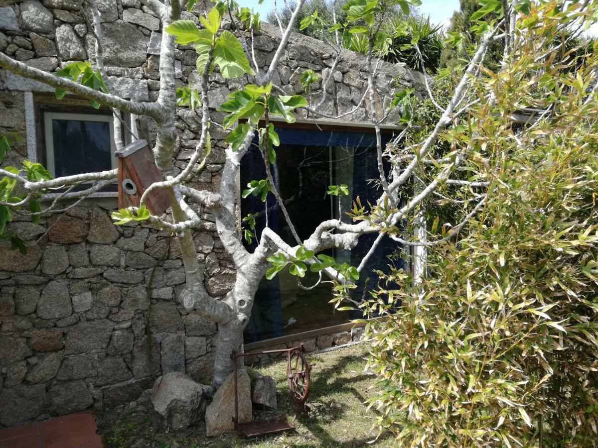 Agriturismo La Valletta Hotell Santa Teresa Gallura Exteriör bild